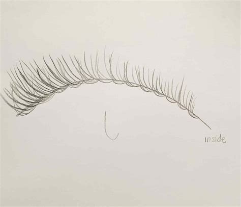 How To Draw Eyelashes 4 Easy Steps
