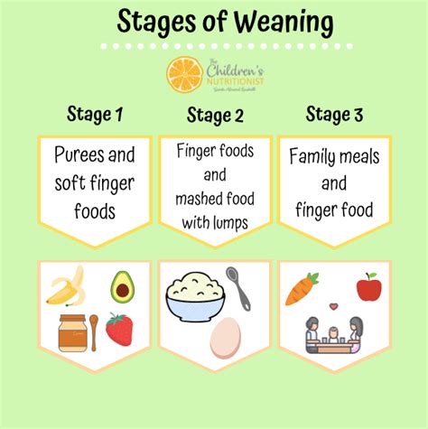 Is your baby ready for stage 2 baby food? How to do stage 2 weaning — Weaning | Fussy Eating | The ...