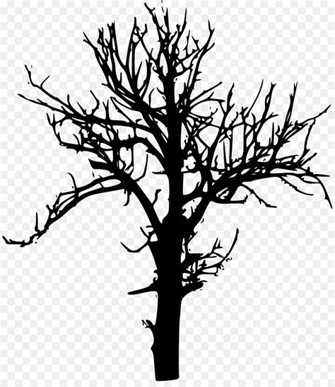 Free Tree Branch Transparent Download Free Tree Branch Transparent Png