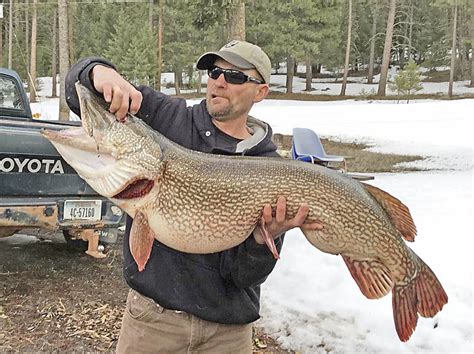 Trophy Pike Caught In Local Lake Seeley Swan Pathfinder