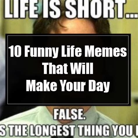 10 Funny Life Memes That Will Make Your Day