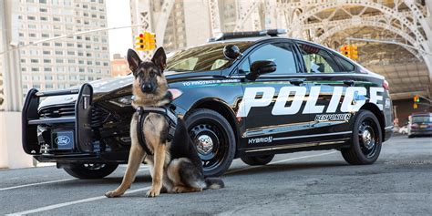 Patrol cars should be clearly marked and visible. Ford Fusion Police Responder Hybrid: una nueva "arma" de ...