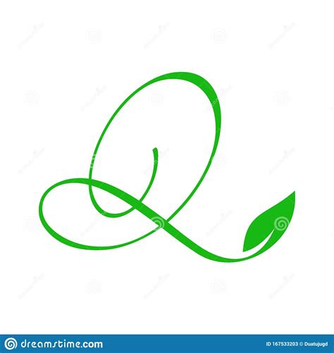 Charming Logo Design Initial Q Leaf Stock Vector Illustration Of