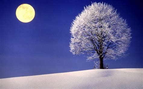 Winter Full Moon Wallpaper And Background Image 1680x1050