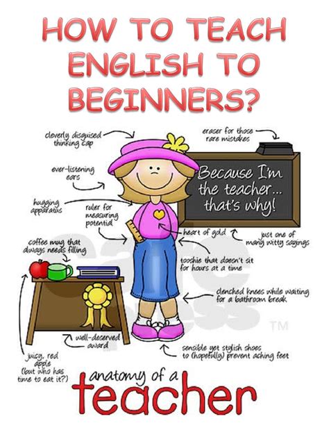 How To Teach English To Beginners By Laura De La Garza Issuu