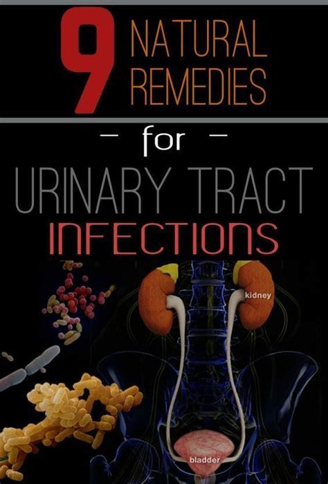 9 Natural Remedies For Urinary Tract Infections Bacteria Biofi