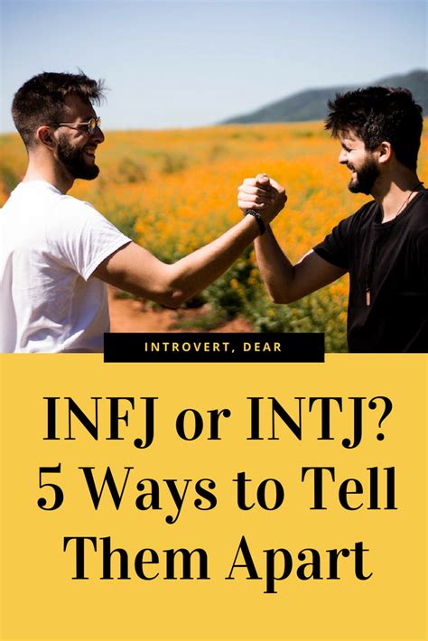 Infj Vs Intj How To Tell These Similar Personalities Apart Intj And