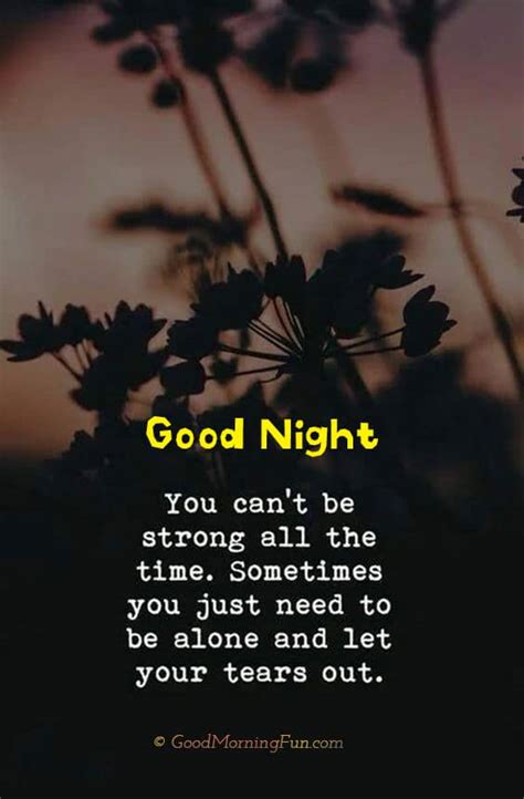 Inspirational Good Night Quotes Good Morning Fun