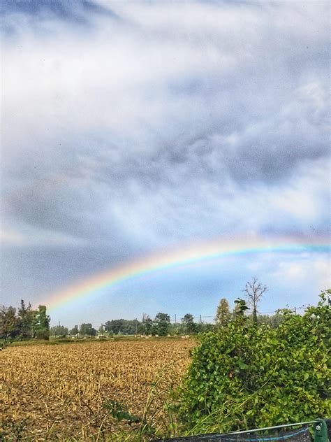 The rainbow after storm : r/pics