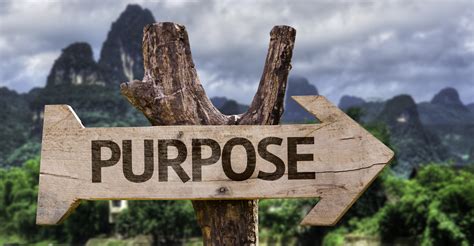 Finding Evolutionary Purpose For Yourself And Your Organization