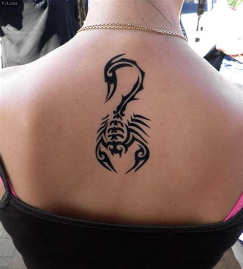 3d Scorpion Tattoo Designs Tattoo Designs