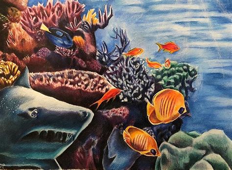 Coral Reef Drawing By Dina Sorrenti Fine Art America