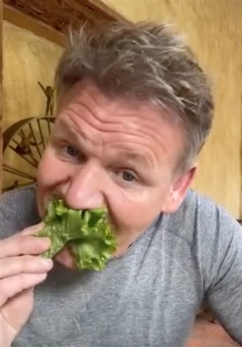 Gordon Ramsay Dubs Vegan Tiktoker A Doughnut In Viral Clip