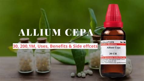 Allium Cepa 30 200 Q Uses Benefits And Side Effects