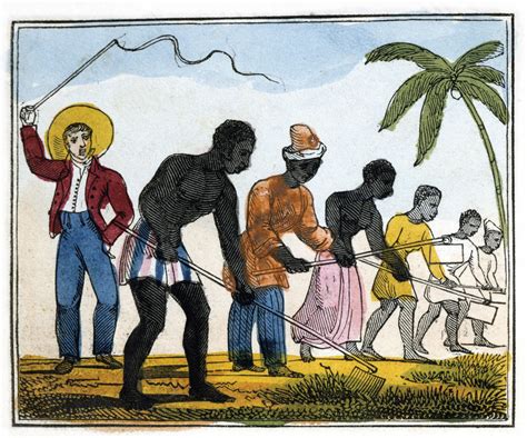 How The Slave Trade Funded Britain