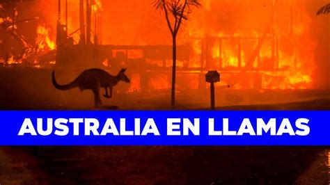 Ya son más de 146 mil las hectáreas quemadas en 2020. Incendio en Australia 2020 ¿cuáles son las causas? ¿qué ...