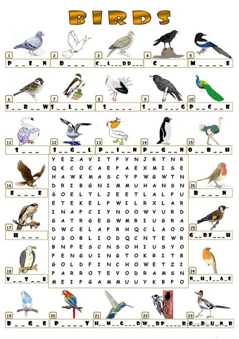 Birds Wordsearch Worksheet Free Esl Printable