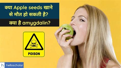 Apple Seeds Are Poisonous And Contain Cyanide That Can Kill You Youtube