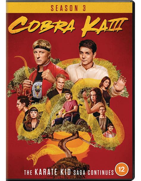 Cobra Kai Season 3 Dvd Free Shipping Over £20 Hmv Store