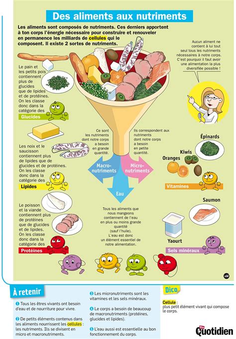 Infographie Mon Quotidien Des Aliments Aux Nutriments Ligup