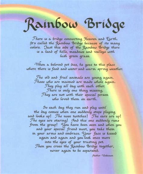 47 rainbow bridge poems ranked in order of popularity and relevancy. I know Imgur likes Cats, but my Dog, the most beautiful ...