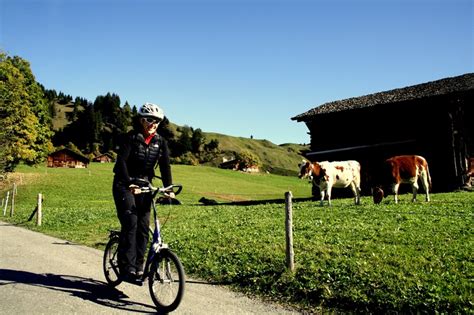Trotti Bikes Grindelwald With Cows And Scenary Grindelwald Bradley