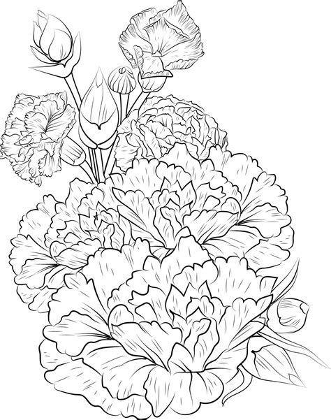 Carnation Flower Vector Illustration Of A Beautiful Flower Bouquet A