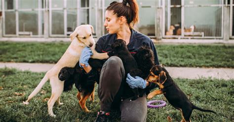 10 Reasons To Volunteer At An Animal Shelter Ochsner Health