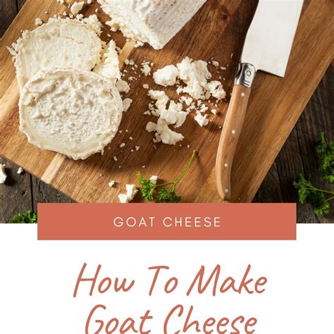 How To Make Goat Cheese Recipe Al Azhar Foodie