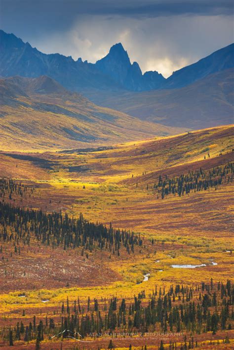 Yukon Territory Alan Majchrowicz Photography Fine Art Landscape