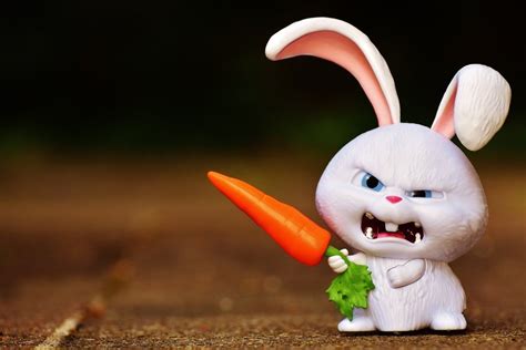 Angry Bunny With Carrot Free Image Download