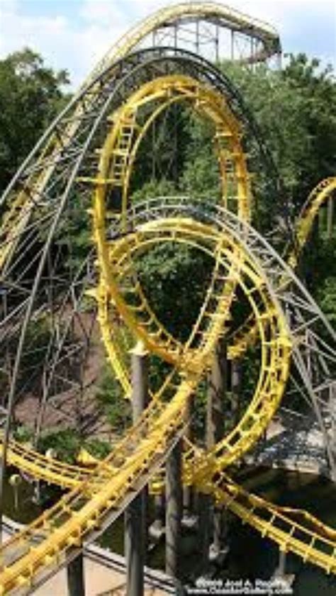 Griffon, roman rapids, and escape from pompeii (get really. Lochness Monster busch gardens | Theme parks rides ...