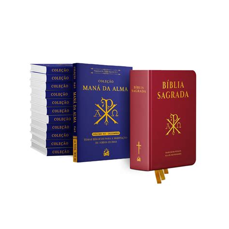 Biblia Pe Matos Soares