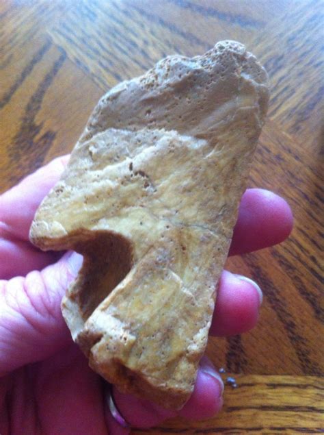 Bastrop County Tx Prehistoric Artifact Indian Artifacts Artifacts