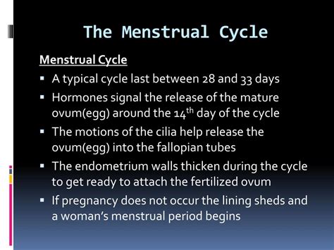 Ppt The Menstrual Cycle Powerpoint Presentation Free Download Id