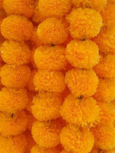 buy marigold genda flower garland for decoration yellow marigold artificial flower 56 inch