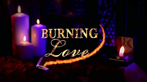 Burning Love Season 2 And 3 The Webby Awards