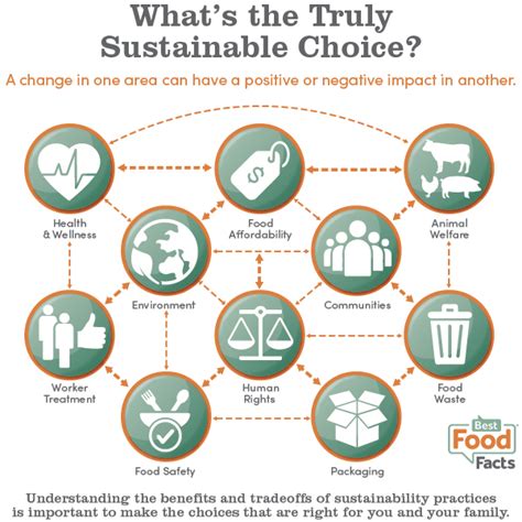 Weighing Pros And Cons To Make Sustainable Choices Best Food Facts