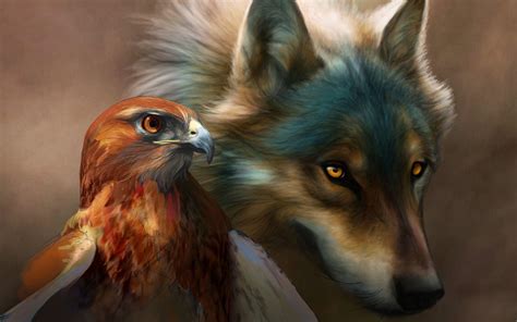 Eagles And Wolves Wallpapers Top Free Eagles And Wolves Backgrounds