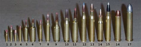 Common Rifle Calibers For Hunting Competition Tactical Shooting And