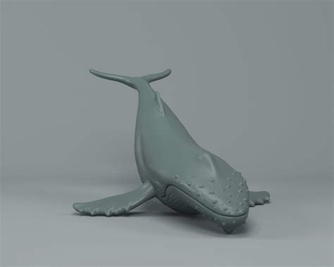 Humpback Whale 3d Model 3d Printable Cgtrader