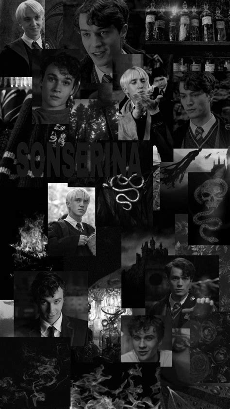 Wallpaper Draco Tom E Mattheo In 2022 Harry Potter Draco Harry
