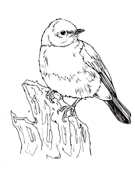 Coloring Pages — Home