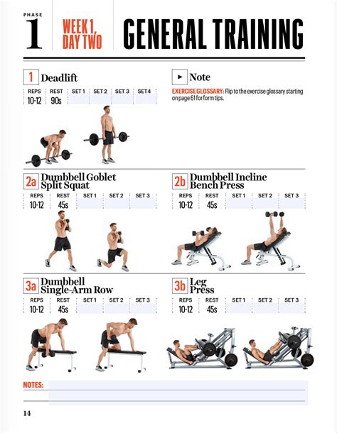 Biceps Workout Plan Pdf Blog Dandk