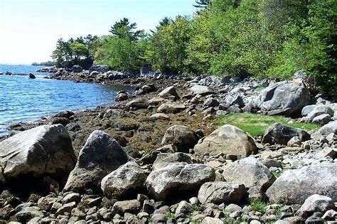 We also provide tree and garden services tailored to individual needs. BOULDER COVE COTTAGES - Prices & Cottage Reviews ...