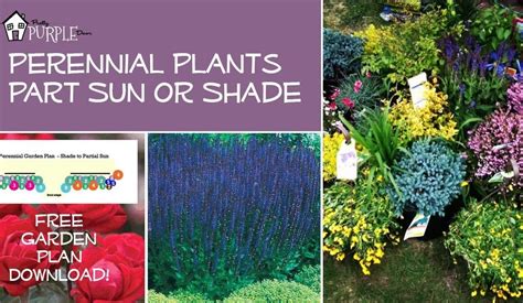 Light shade with some sun coaxes best flower color. Perennial Garden Plans for Partial Sun or Shade | Pretty ...