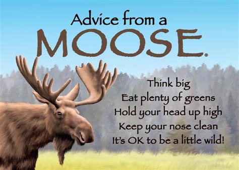Advice From Nature Shop Inspirational Bookmarks Stickers And More