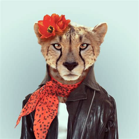 Zoo Portraits Animals Dressed Like Humans