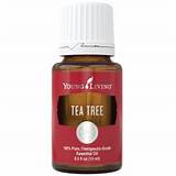 Young Living Tea Tree Oil Images