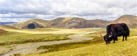 I recommend you to look these photos. Kalung dan Sepatu di Depan Pintu - DI's Way